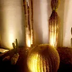 Casa De Beach, & Sauna * موليدو