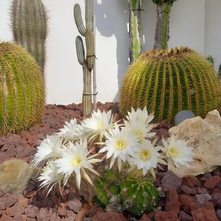 Casa De Jacuzzi E Sauna Moledo (Viana do Castelo)