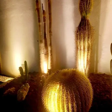 Casa De Jacuzzi E Sauna * Moledo (Viana do Castelo)