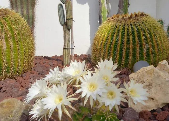 Casa De Jacuzzi E Sauna Moledo (Viana do Castelo)